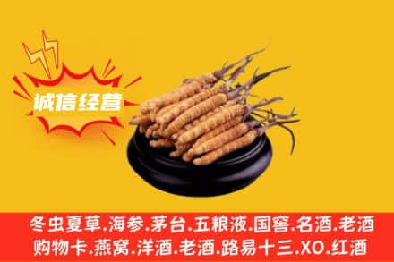 哈尔滨木兰县回收冬虫夏草